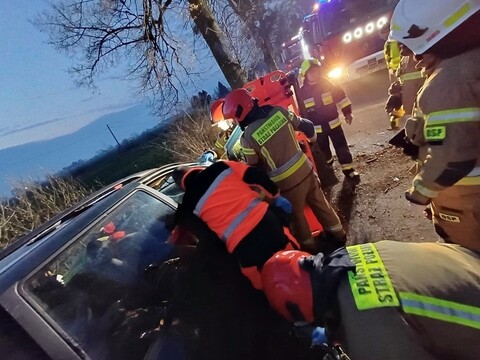 Jechał bez uprawnień, uderzył w drzewo (aktualizacja)