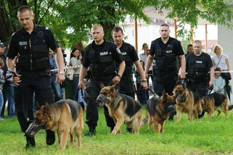 Elblążanie świętowali z policjantami
