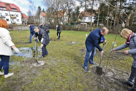 Jedni tną, inni sadzą