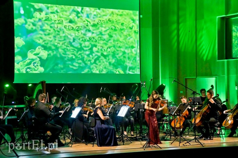 Jedyny taki wieczór z Vivaldim - Vivaldisco