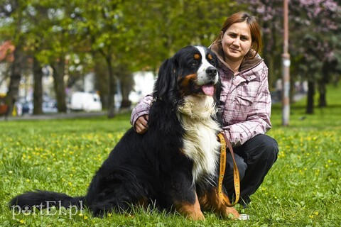 Kynoterapia bez tajemnic (Zawody znane i nieznane, odc. 35)
