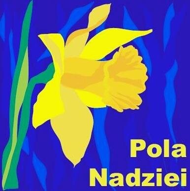 Jutro żonkilowe Pola Nadziei