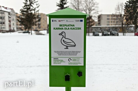 Kacza zagadka nad Kumielą