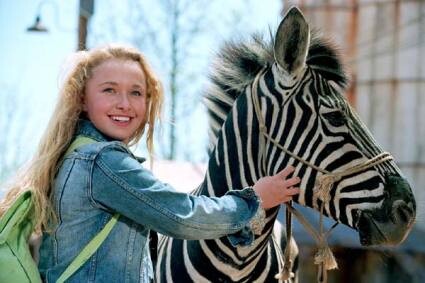 Zebra z klasą