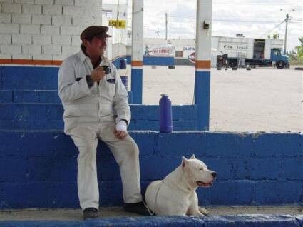 W kinie: Bombon - El Perro
