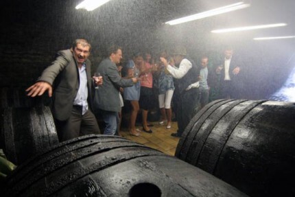 Kino Światowid: Młode wino