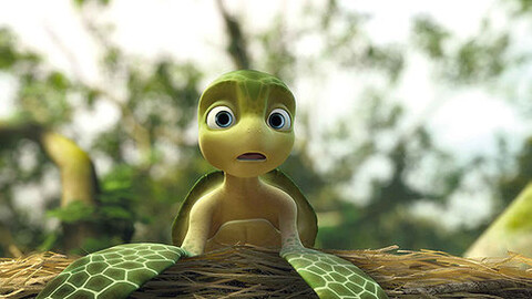Żółwik Sammy 3D