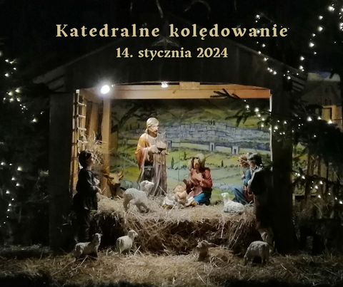 Katedralne kolędowanie