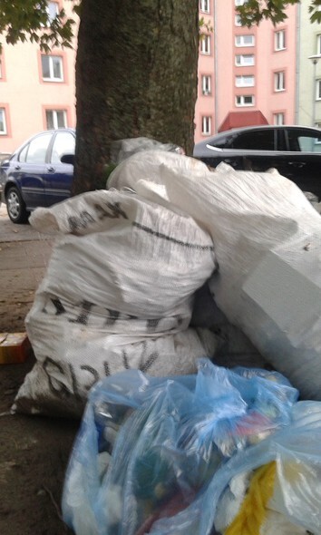 Klika słów prawdy na temat MPO (głos czytelnika)