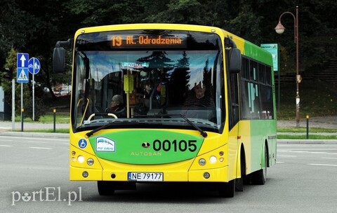 Komunikacja miejska poczas Dni Elbląga