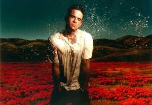 Koncert Robbiego Williamsa