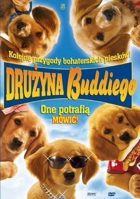 Konkurs na najzabawniejsze zdjęcie