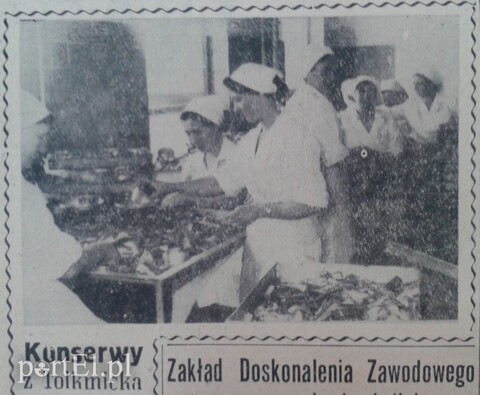 Konserwy z Tolkmicka