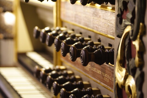 Kontynuacja prezentacji organów Hildebrandta