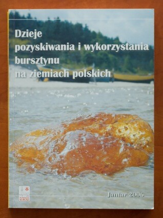 Książka o bursztynie