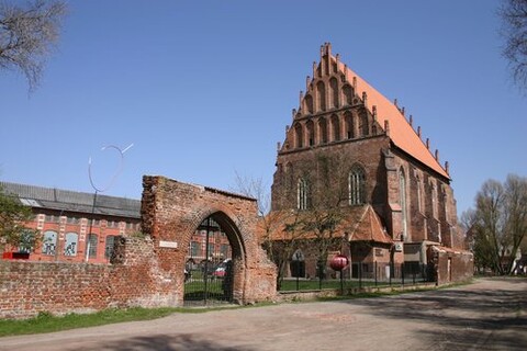 Kulturalny wolontariat