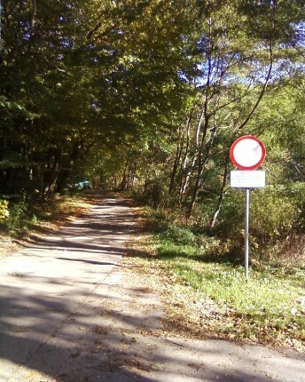 Las już nie dla rowerów