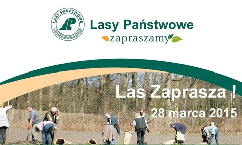 Las zaprasza!