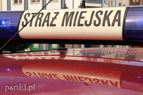 Likwidacja straży miejskiej jako przedmiot referendum gminnego (analiza)