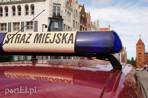 Likwidować czy nie likwidować?