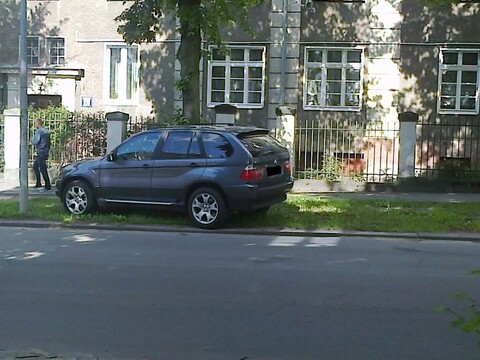 Łosie na drodze. Kolejne zdjęcia od naszych Czytelników