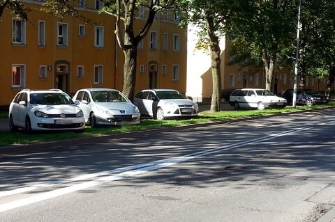 Łosie na drodze: Tak parkują przy Brzeskiej
