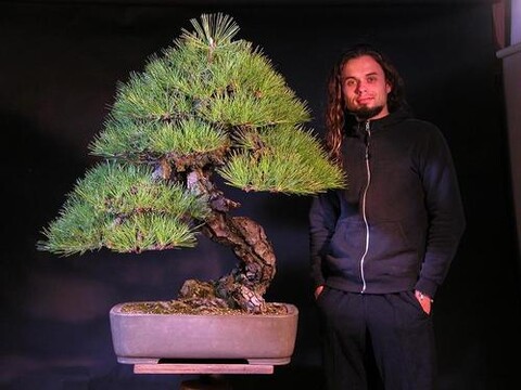 Wystawa Drzewek Bonsai