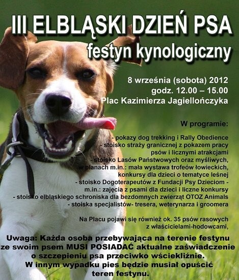 Masz psa - bądź odpowiedzialny