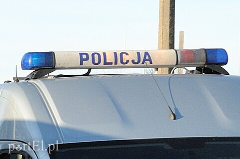 Masz psa? Przeczytaj