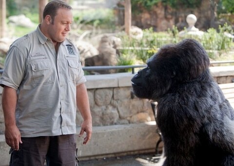 Heca w zoo