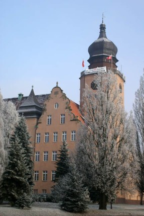 Miasto chce ulżyć przedsiębiorcom