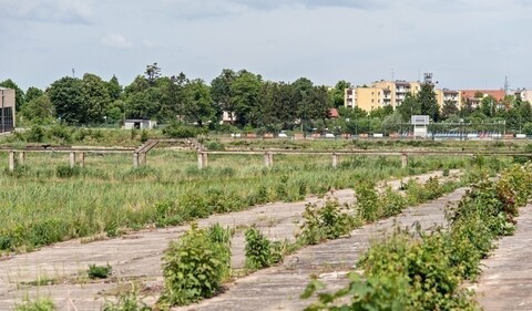 Miasto wybrało wykonawcę kąpieliska przy Spacerowej