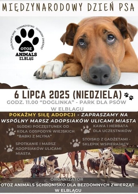 Międzynarodowy Dzień Psa w Doglince