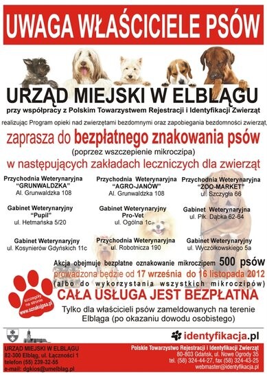 Mikroczipy dla psów