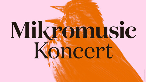 Mikromusic zagra w Mjazzdze