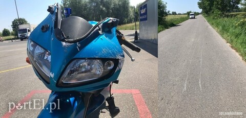 Dzik nie przeżył, motocyklistka leczy uraz nogi