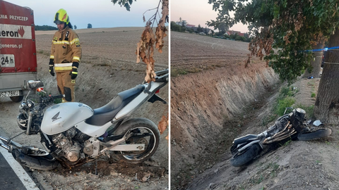 Motocyklista uderzył w drzewo