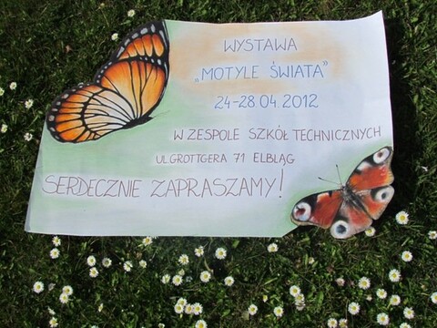 Motyle świata na wystawie