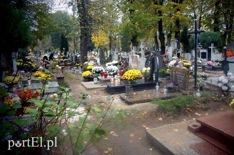 Drobni złodzieje i sarny-szkodniki