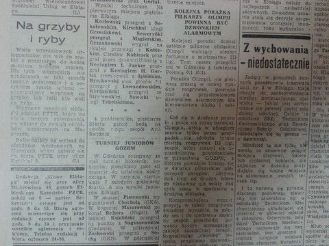 Na grzyby i ryby