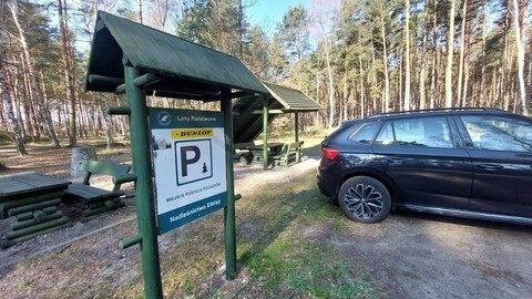 Wracają opłaty za leśne parkingi