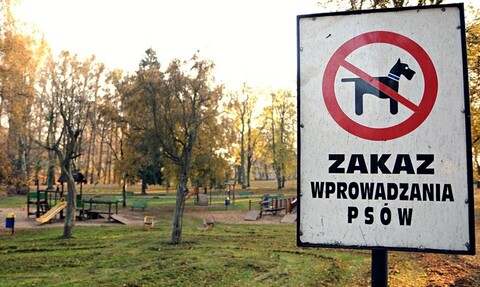 Na placach zabaw – czy jest bezpiecznie?