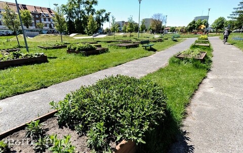 Na rowerowe miasteczko jeszcze poczekamy