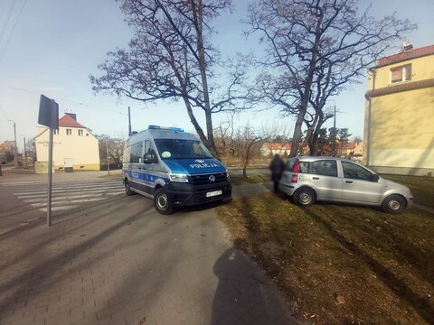 Na skróty po pasach. Kierująca ukarana