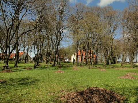 Na spacerze