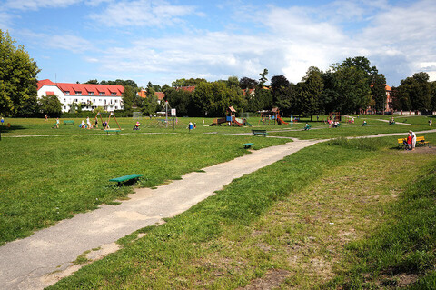 Z wioślarzem i surferem po zdrowie