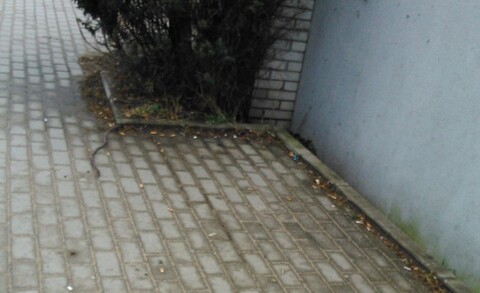 Czystość i porządek?