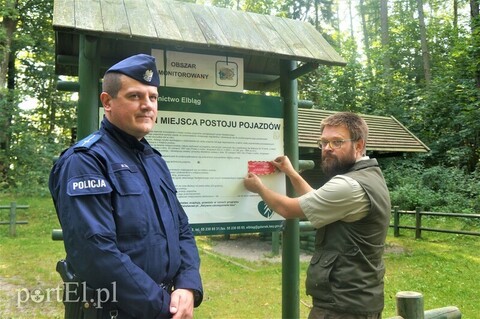 Naklejki dla zagubionych w lesie