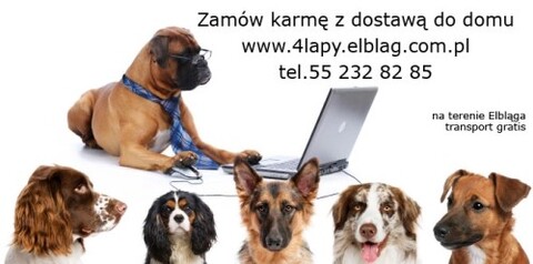 Nie dźwigaj więcej - zamów karmę z darmową dostawą do domu!