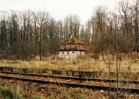 Historia okolic Elbląga: Gonty i Górowychy (odc. 98) 